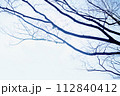 木の枝 112840412