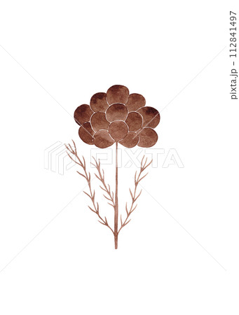 A fantasy flower on a thin stem in coffee tones. Watercolor floral illustration 112841497