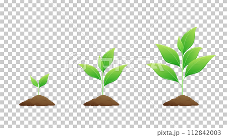 Illustration of growing plant buds 112842003