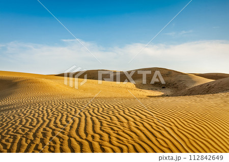 Dunes of Thar Desert, Rajasthan, India 112842649