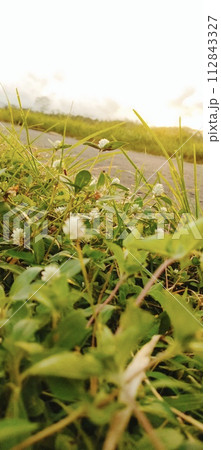 Rural roads are full of grass and quiet in the afternoon Rural roads are full of grass and quiet in the afternoon 112843327