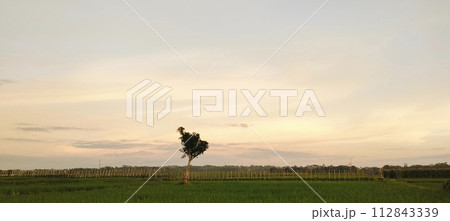 Rice farming on the edge of the mountain and beautiful roads with beautiful clouds in the afternoon and evening 112843339