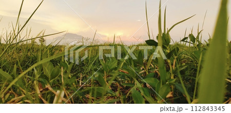 Rural roads are full of grass and quiet in the afternoon 112843345