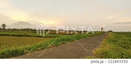 Rice farming on the edge of the mountain and beautiful roads with beautiful clouds in the afternoon and evening 112843350
