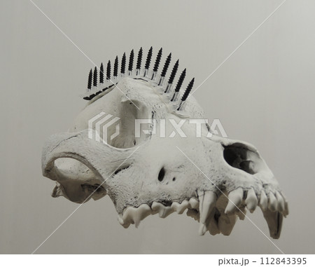 Steampunk Wolf Skull With Black Screws In Mohawk Hairstyle Floating In Air On White Background Steampunk Wolf Skull With Black Screws In Mohawk Hairstyle Floating In Air On White Background 112843395