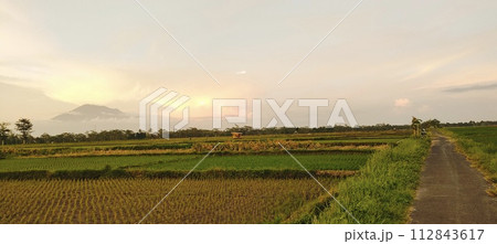 Rice farming on the edge of the mountain and beautiful roads with beautiful clouds in the afternoon and evening Rice farming on the edge of the mountain and beautiful roads with beautiful clouds in the afternoon and evening 112843617