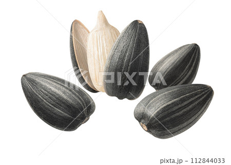 Flying sunflower seeds in circular shape. Isolated on white background 112844033