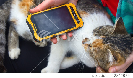 Girl playing on smartphone song for his beloved cat 112844079