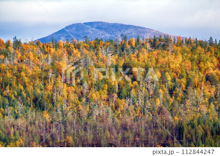 autumn forest autumn forest 112844247