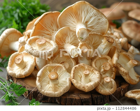 Mushroom Oyster is a type of edible mushroom that belongs to the Pleurotus genus. Mushroom Oyster is a type of edible mushroom that belongs to the Pleurotus genus. 112844486