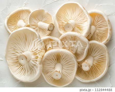 Mushroom Oyster is a type of edible mushroom that belongs to the Pleurotus genus. Mushroom Oyster is a type of edible mushroom that belongs to the Pleurotus genus. 112844488