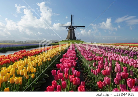 AI-generated content. dutch windmill over tulips field AI-generated content. dutch windmill over tulips field 112844919