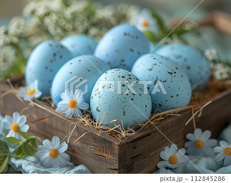 Blue easter eggs in tray with flowers Blue easter eggs in tray with flowers 112845286