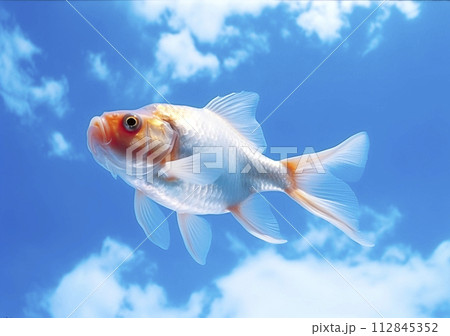 Flying fish above the sky, AI Generated 112845352