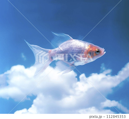 Flying fish above the sky, AI Generated 112845353