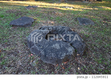 太陽の光が差し込む公園の苔むした石 112845911