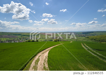 Agricultural cultivated field in summer season with growing crops. Green farm fields. Farming and agriculture industry Agricultural cultivated field in summer season with growing crops. Green farm fields. Farming and agriculture industry 112846535