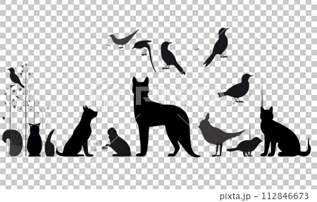 Black silhouette of many cats and birds on white background. Black silhouette of many cats and birds on white background. 112846673