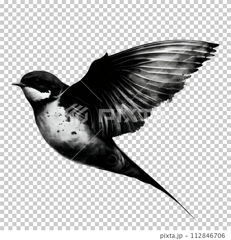 Black silhouette of a bird on white background. Black silhouette of a bird on white background. 112846706