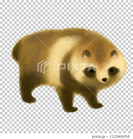 毛茸茸的貉的插圖 112848456