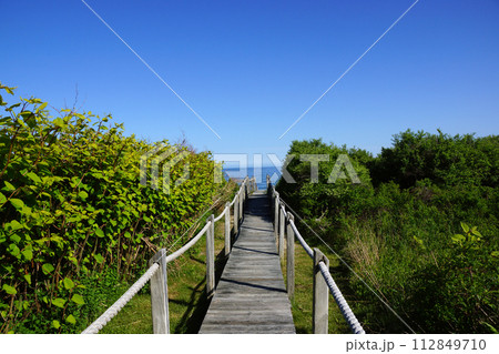 Wooden path to the ocean 112849710