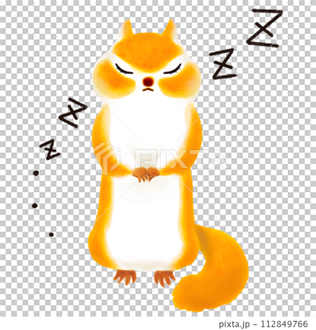 居眠りするリスのイラスト 112849766