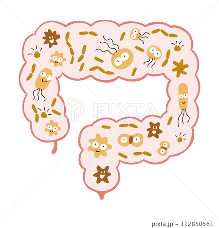 腸内環境_善玉菌が多い 腸内環境_善玉菌が多い 112850561