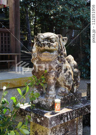 奈良県都祁地方の都祁水分神社 奈良県都祁地方の都祁水分神社 112851956