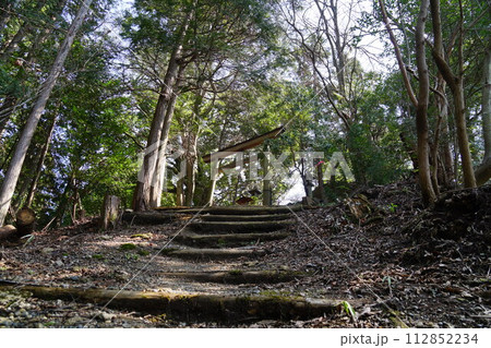 奈良県都祁地方の都祁山口神社 112852234