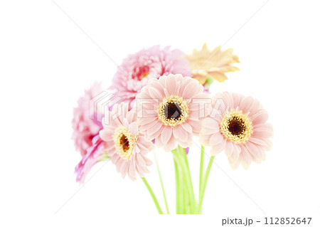 あかるいカラフルなガーベラぼ花々 あかるいカラフルなガーベラぼ花々 112852647