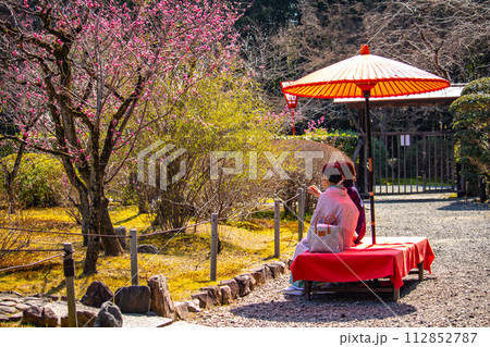 【京都風景】小野小町ゆかりの寺　随心院の観梅会 112852787