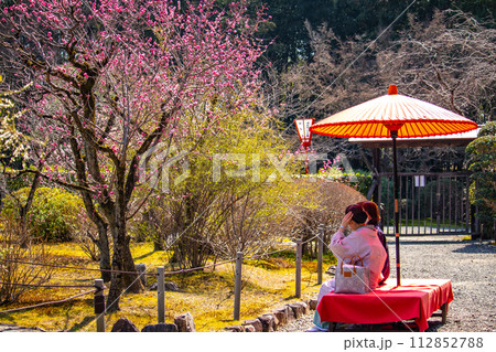 【京都風景】小野小町ゆかりの寺 随心院の観梅会 【京都風景】小野小町ゆかりの寺 随心院の観梅会 112852788