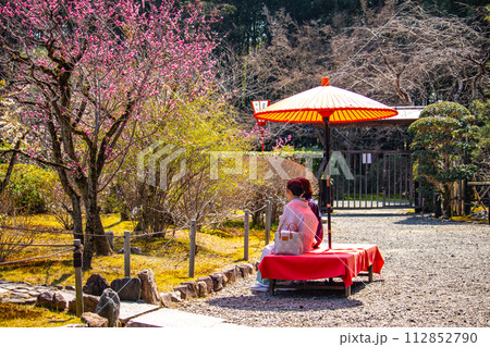 【京都風景】小野小町ゆかりの寺 随心院の観梅会 【京都風景】小野小町ゆかりの寺 随心院の観梅会 112852790