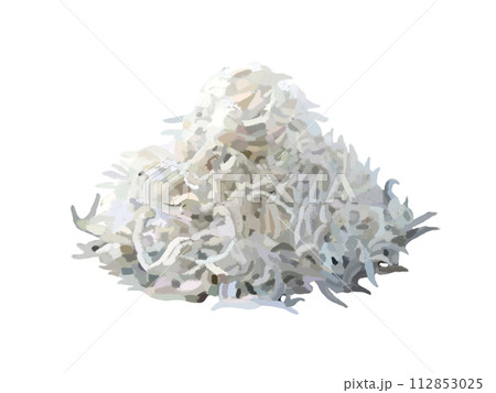 ちりめんじゃこ(しらす) ちりめんじゃこ(しらす) 112853025