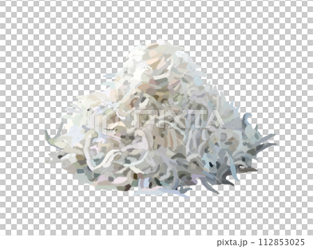 Chirimenjako(銀魚) Chirimenjako(銀魚) 112853025