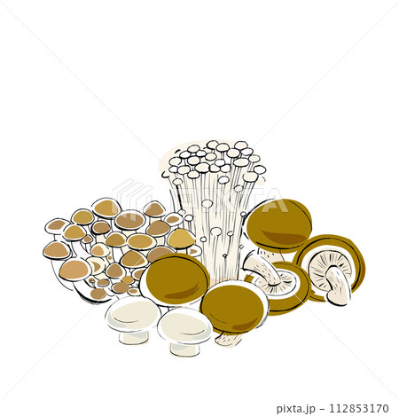 キノコの手書きイラスト　集合 112853170