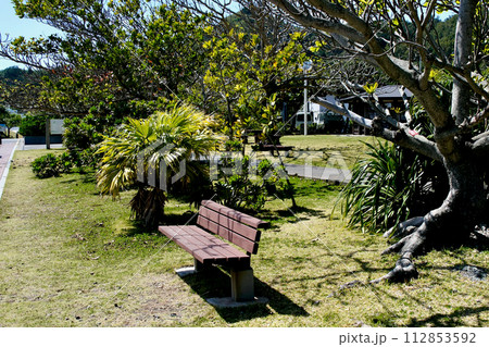 【小笠原】海岸通りの風景 【小笠原】海岸通りの風景 112853592