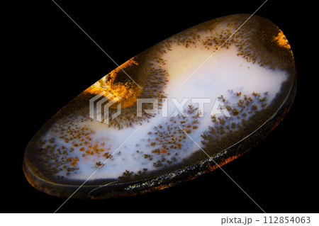 デンドリティック・アゲート 風景を宿す石 デンドリティック・アゲート 風景を宿す石 112854063