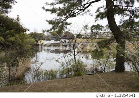 神奈川県横浜市本牧市民公園(上海横浜友好園) 神奈川県横浜市本牧市民公園(上海横浜友好園) 112854641