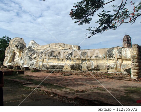 ワット・ロカヤスタの涅槃仏 112855072