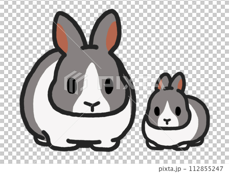 荷蘭藍兔家族 112855247