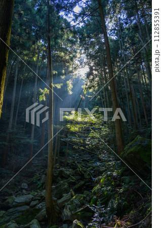 森林のハイキング道と一人の旅人、遍路道 森林のハイキング道と一人の旅人、遍路道 112855391
