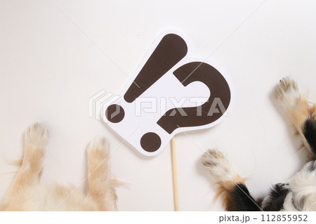 小型犬の手とダブルダレのマーク 112855952