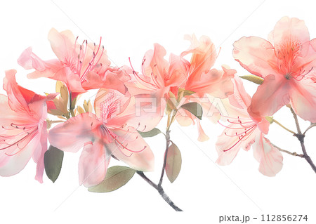 ツツジの花（水彩画）「AI生成画像」 112856274