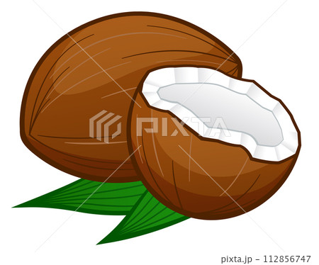 coconut cartoon on white background 112856747