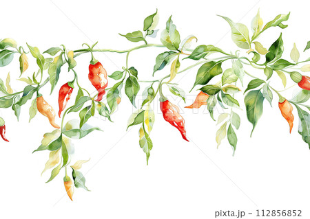 観賞用の唐辛子（水彩画）「AI生成画像」 112856852
