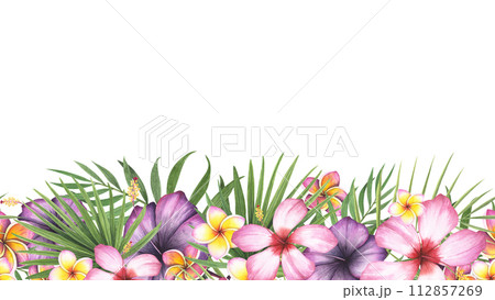 Seamless border tropic plant palm, hibiscus. plumeria flower isolated white background. Watercolor hand drawn botanical illustration. Art for design banner, beauty, relaxation, template, spa 112857269