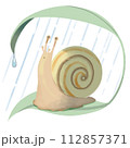 葉っぱの上で雨宿りするカタツムリ 112857371
