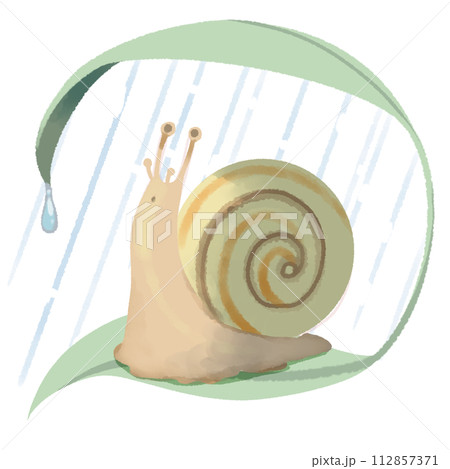 葉っぱの上で雨宿りするカタツムリ 112857371