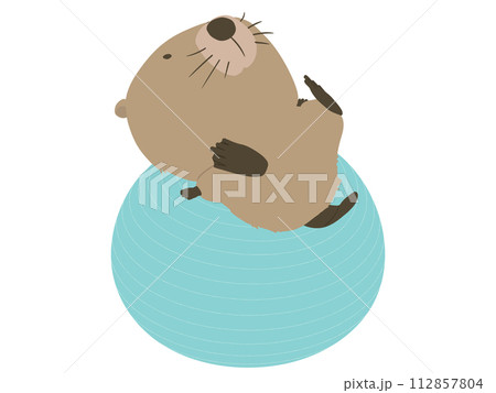 バランスボールに乗るビーバー 112857804